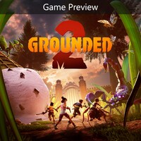 Box Art