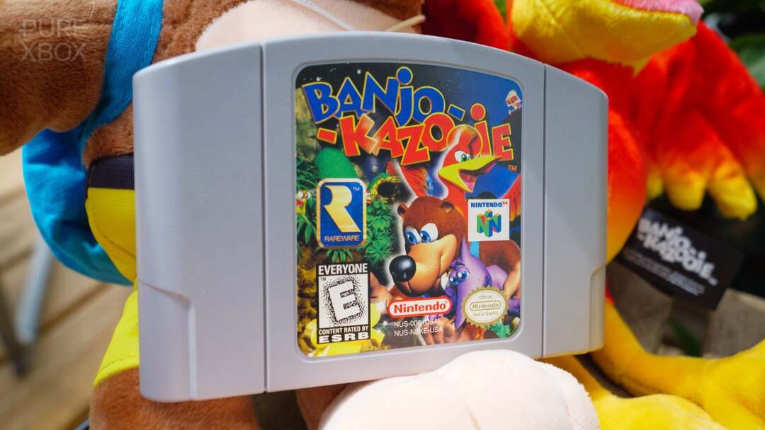 Xbox’s ‘Double Fine’ Studio Dismisses Idea Of Making New Banjo Or Conker Games